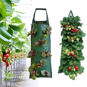 Джобове на съда за отглеждане на ягоди вертикални градински чанти за растенията Сеялка за засаждане PE стенни цветни растения за картофи